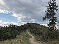 264_iP_200428_IMG_0065