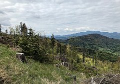 113_iP_200521_IMG_0092