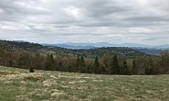 282_iP_200521_IMG_0117