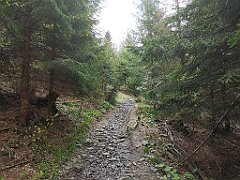 285_p20_IMG_20200521_111405