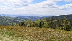 446_p20_IMG_20200521_131243