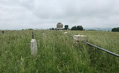 124_iP_20200615_IMG_1109