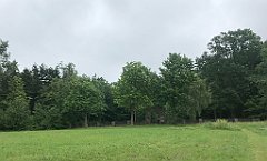 178_iP_20200615_IMG_1115