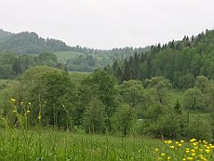 016_p20_IMG_20200617_101748