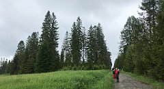 052_iP_200617_IMG_1130