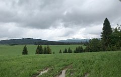 058_iP_200617_IMG_1133