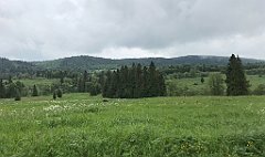 099_iP_200617_IMG_1146