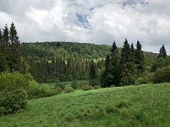 304_iP_200617_IMG_1171