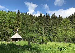 387_iP_200617_IMG_1176