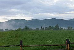 479_p20_IMG_20200617_192604