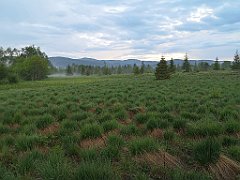 486_p20_IMG_20200617_192822