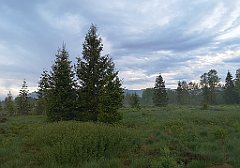 498_p20_IMG_20200617_193202