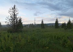 499_p20_IMG_20200617_193214