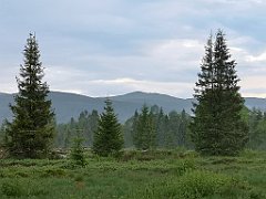 507_p20_IMG_20200617_193306