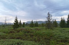 508_p20_IMG_20200617_193513