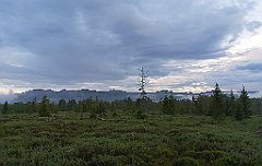 510_p20_IMG_20200617_193613