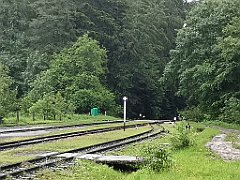 231_p20_IMG_20200618_172955