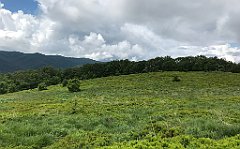 070_iP_200619_IMG_1209