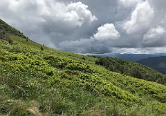 105_iP_200619_IMG_1229