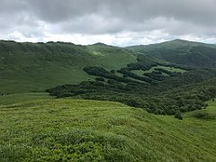 260_iP_200619_IMG_1292