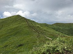 560_iP_200619_IMG_1367