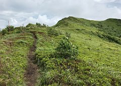 567_iP_200619_IMG_1369