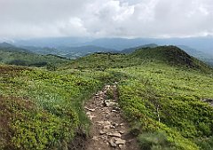 648_iP_200619_IMG_1398