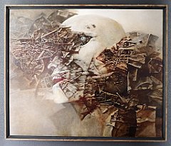 167_p20_IMG_20200620_110612