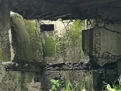 283_p20_IMG_20200620_131901