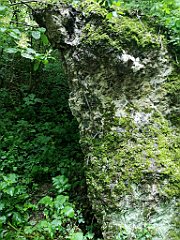 285_p20_IMG_20200620_132005