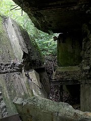 291_p20_IMG_20200620_132053