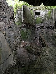 309_p20_IMG_20200620_132423