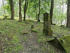 377_p20_IMG_20200620_140701