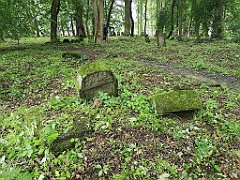 379_p20_IMG_20200620_140727