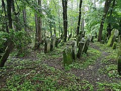 394_p20_IMG_20200620_141115