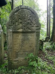 398_p20_IMG_20200620_141139