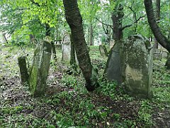 410_p20_IMG_20200620_141653