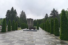 461_p20_IMG_20200620_150253