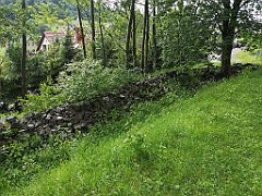 558_p20_IMG_20200620_155933