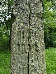 093_p20_IMG_20200621_104314