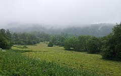 173_p20_IMG_20200621_120702