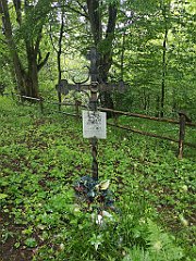 188_p20_IMG_20200621_121445