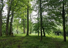 189_p20_IMG_20200621_121454