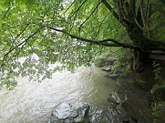 281_p20_IMG_20200621_134856