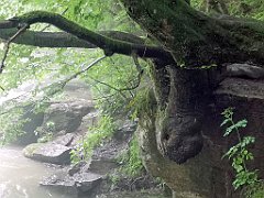 283_p20_IMG_20200621_134907