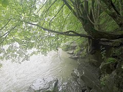 287_p20_IMG_20200621_134925