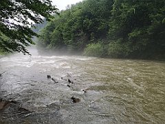 361_p20_IMG_20200621_142627