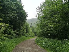 367_p20_IMG_20200621_143619