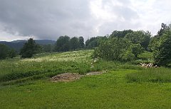 387_p20_IMG_20200621_151823