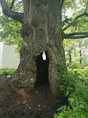 425_p20_IMG_20200621_152412